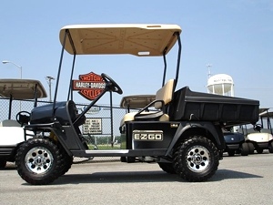 2011 EZGO Sport II (Black) Utility Vehicle