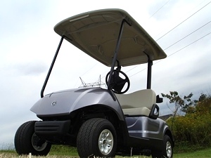 2012 Yamaha Gas Golf or Personal Cart