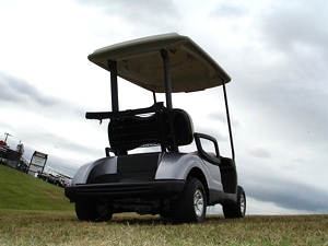 2012 Yamaha Gas Golf or Personal Cart