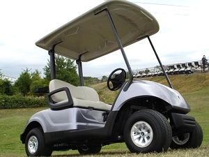 2012 Yamaha Gas Golf or Personal Cart