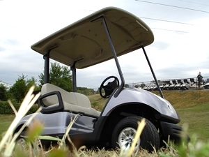 2012 Yamaha Gas Golf or Personal Cart