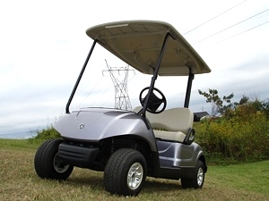 2012 Yamaha Gas Golf or Personal Cart
