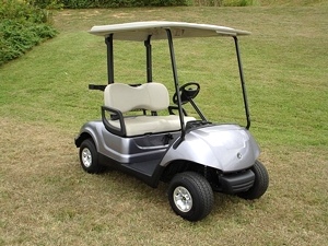 2012 Yamaha Gas Golf or Personal Cart