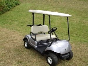 2012 Yamaha Gas Golf or Personal Cart