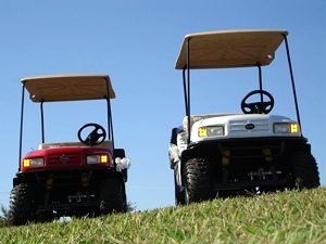 2011 EZGO St. Sport II