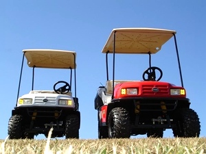 2011 EZGO St. Sport II