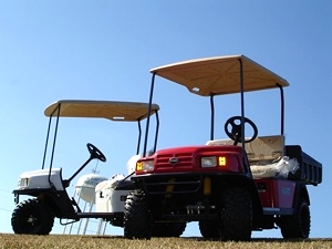 2011 EZGO St. Sport II