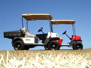 2011 EZGO St. Sport II