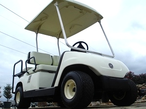2005 Yamaha G 22 Golf Cart Electric