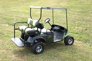  EZGO PDS Electric Golf Cart Custom Paint 