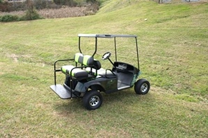  EZGO PDS Electric Golf Cart Custom Paint 
