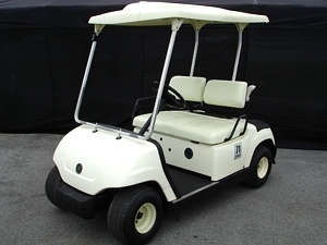 2005 Yamaha Fleet Golf Car