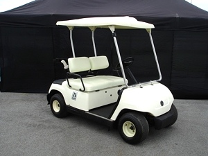 2005 Yamaha Fleet Golf Car