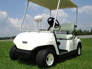 Yamaha Golf Cart (2000 Pre-Owned)