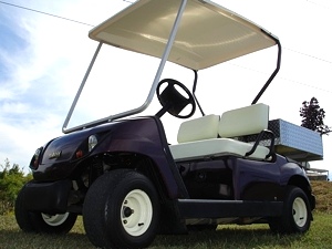 2000 Yamaha Golf Cart With Cargo Bed