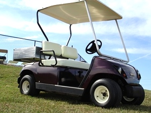 2000 Yamaha Golf Cart With Cargo Bed