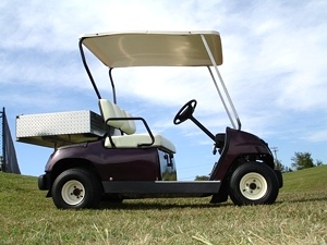 2000 Yamaha Golf Cart With Cargo Bed