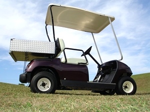 2000 Yamaha Golf Cart With Cargo Bed