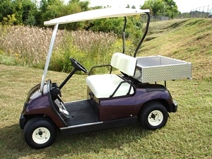 2000 Yamaha Golf Cart With Cargo Bed