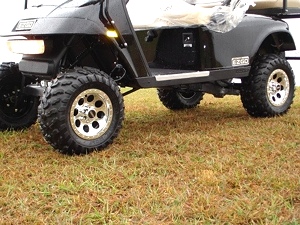 New 2009 EZGO Heritage (Limited Edition)