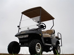 New 2009 EZGO Heritage (Limited Edition)