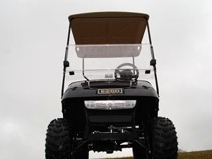 New 2009 EZGO Heritage (Limited Edition)