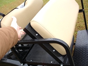 New 2009 EZGO Heritage (Limited Edition)