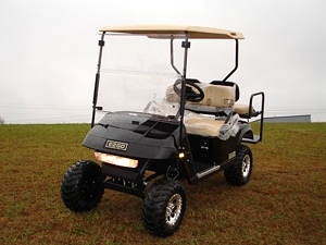 New 2009 EZGO Heritage (Limited Edition)