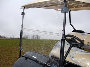 New 2009 EZGO Heritage (Limited Edition)