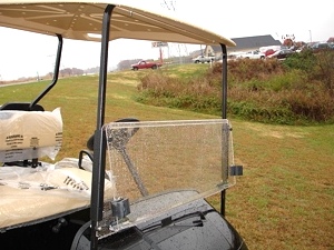 New 2009 EZGO Heritage (Limited Edition)