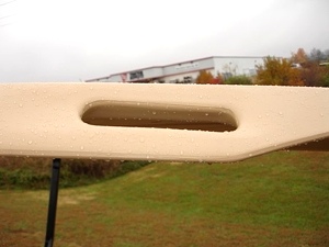 New 2009 EZGO Heritage (Limited Edition)