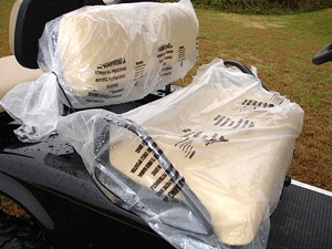 New 2009 EZGO Heritage (Limited Edition)