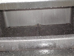 New 2009 EZGO Heritage (Limited Edition)