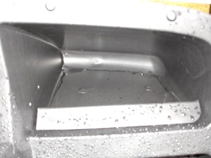 New 2009 EZGO Heritage (Limited Edition)