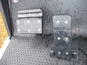 New 2009 EZGO Heritage (Limited Edition)