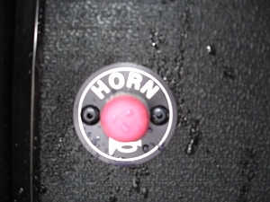 New 2009 EZGO Heritage (Limited Edition)