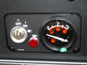 New 2009 EZGO Heritage (Limited Edition)