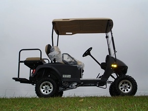 New 2009 EZGO Heritage (Limited Edition)