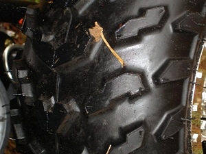 New 2009 EZGO Heritage (Limited Edition)