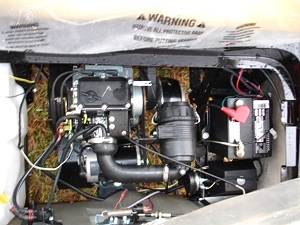 New 2009 EZGO Heritage (Limited Edition)