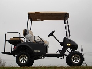 New 2009 EZGO Heritage (Limited Edition)