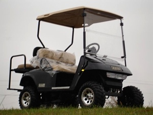 New 2009 EZGO Heritage (Limited Edition)