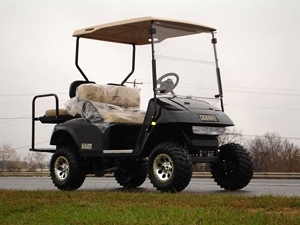 New 2009 EZGO Heritage (Limited Edition)