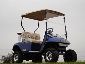2009 EZGO Heritage Golf Cart (2 YEAR Factory Warranty)