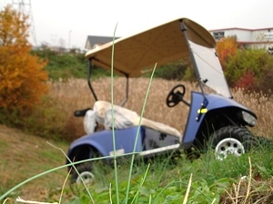 2009 EZGO Heritage Golf Cart (2 YEAR Factory Warranty)
