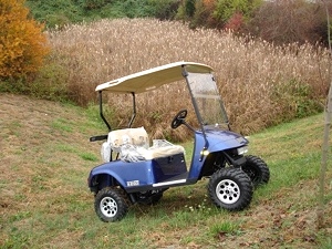 2009 EZGO Heritage Golf Cart (2 YEAR Factory Warranty)