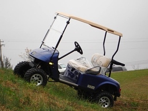 2009 EZGO Heritage Golf Cart (2 YEAR Factory Warranty)
