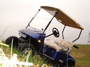 2009 EZGO Heritage Golf Cart (2 YEAR Factory Warranty)