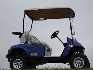 2009 EZGO Heritage Golf Cart (2 YEAR Factory Warranty)