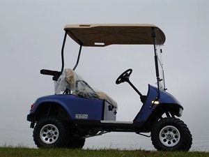 2009 EZGO Heritage Golf Cart (2 YEAR Factory Warranty)